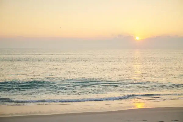 Tide & Sound: World Ocean Day